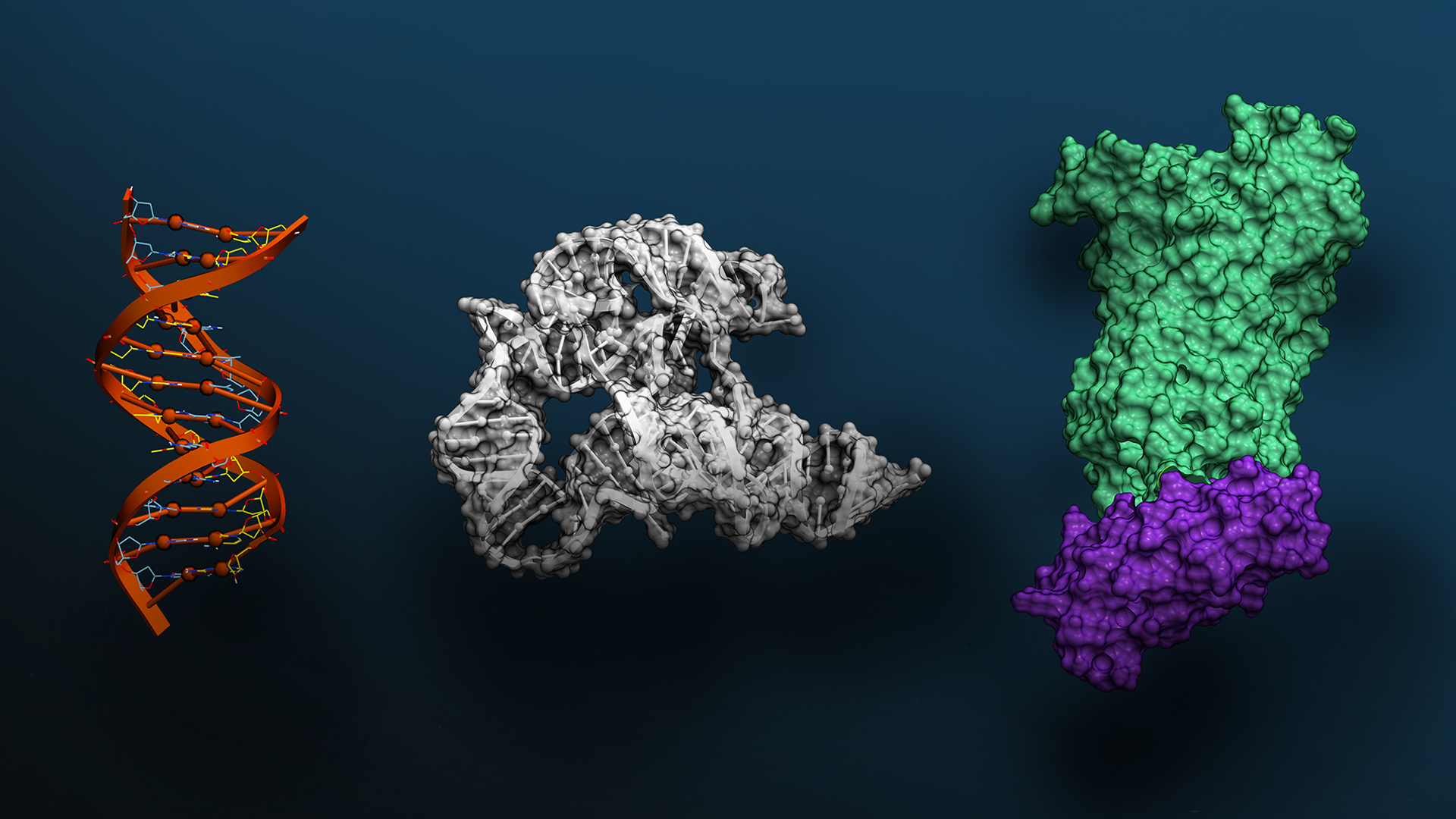 NVIDIA’s Evo 2: The AI Model That Designs DNA from Scratch
